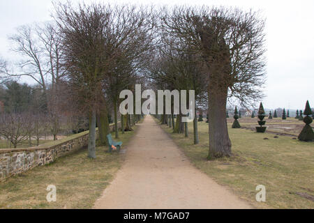 Hundisburg, Allemagne - Mars 10,2018 : Vue d'un vieil arbre avenue bordée d'arbres dans le parc du château, de l'Allemagne. Hundisburg Banque D'Images