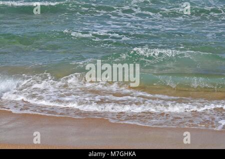 Les petites vagues au rivage avec du sable humide. Banque D'Images