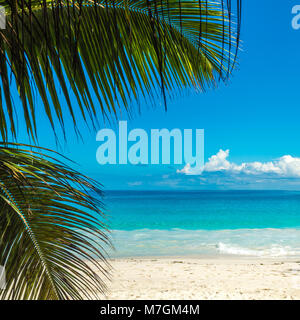 Plage de l'île tropicale. Arrière-plan de vacances idéal. Banque D'Images