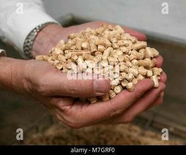 L'énergie de biomasse briquettes est utiliser dans une maison familiale de chauffage 2007 Banque D'Images