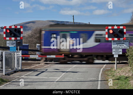 Un sprinter Northern rail train traverse la barrière automatique de la moitié au passage à niveau de la Route Verte, Barrow in Furness, Cumbria Banque D'Images