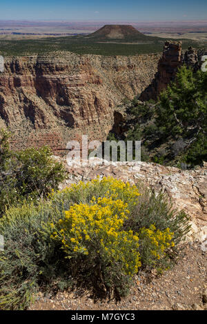 À au nord-ouest de Desert View, South Rim du Grand Canyon, Arizona, USA Banque D'Images