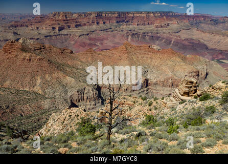 À au nord-ouest de Desert View, South Rim du Grand Canyon, Arizona, USA Banque D'Images