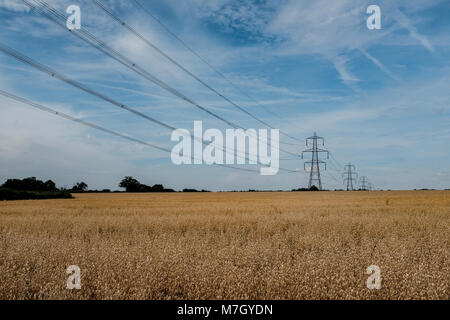 Pylônes à marcher à travers la campagne en Hertfordshire UK Banque D'Images