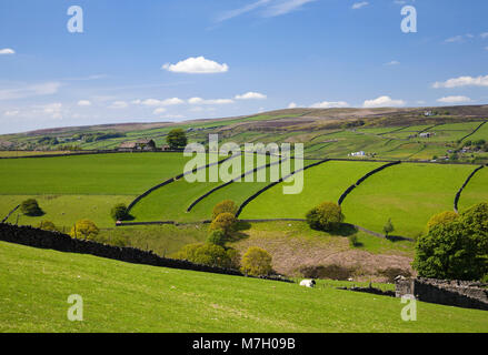 Au-dessus de la vallée de Haworth Cemetery près de Stanbury West Yorkshire Banque D'Images