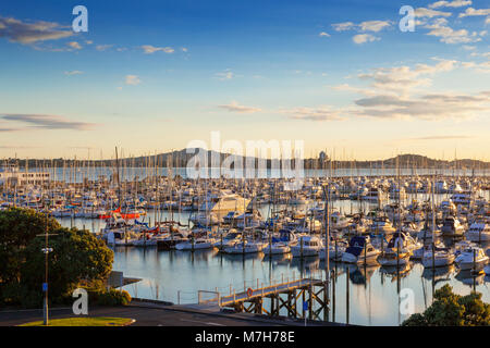 Westhaven Marina, Auckland, et le volcan Rangitoto, au lever du soleil. Banque D'Images