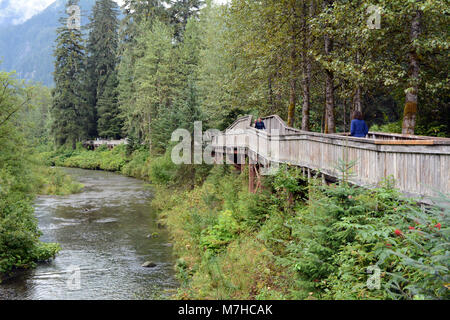 Les touristes sur la plate-forme d'observation de l'ours à la Fish Creek Wildlife Observation Site, dans la forêt nationale de Tongass, près de Hyder, Alaska. Banque D'Images