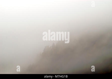 Forêt d'automne sur Fennefossfjellet couverts par la pluie, brouillard lourd Evje, la Norvège. Banque D'Images