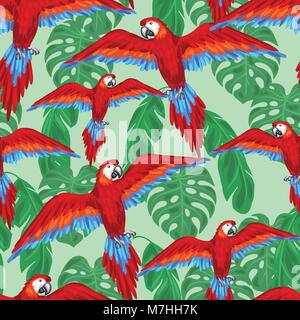 Les oiseaux tropicaux modèle transparent avec des perroquets et des feuilles de palmier Illustration de Vecteur