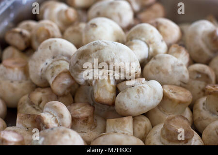 Champignons crus épluchés champignon close-up. Selective focus Banque D'Images