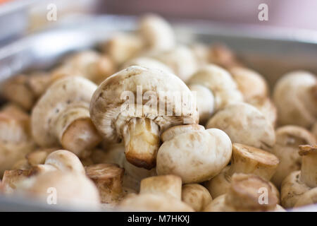 Champignons crus épluchés champignon close-up. Selective focus Banque D'Images