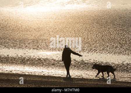 Un chien walker bénéficiant d'une promenade tranquille le long du front de mer de Morecambe ci-dessous des sables bitumineux à marée basse dans l'après-midi. Lancaster Lancashire England UK GO Banque D'Images