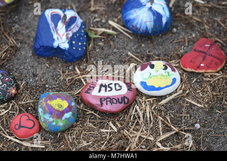 Parkland en Floride, USA. Mar 10, 2018. Une vue générale d'un faire shift à Stoneman Douglas Memorial High School le 10 mars 2018 dans un parc, en Floride. Credit : Mpi04/media/Alamy Punch Live News Banque D'Images