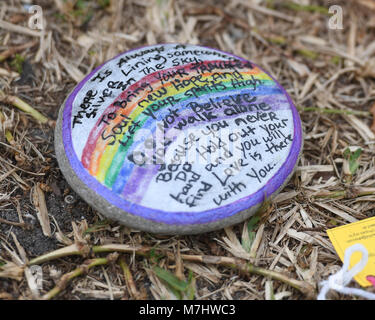 Parkland en Floride, USA. Mar 10, 2018. Une vue générale d'un faire shift à Stoneman Douglas Memorial High School le 10 mars 2018 dans un parc, en Floride. Credit : Mpi04/media/Alamy Punch Live News Banque D'Images