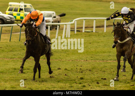 Hereford, Herefordshire, Angleterre. 10 mars, 2018. Flashjack mène le pack pendant la 2:50h00 course à l'hippodrome de Hereford Hereford en journée pendant mes chers le 10 mars 2018. Crédit : Jim Wood/Alamy Live News Banque D'Images