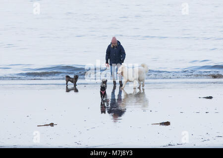 North Bay, Scarborough, North Yorkshire, UK. Dimanche 11 mars 2018. Les gens marchent le long de plage de North Bay avec le Château de Scarborough en arrière-plan pendant un après-midi brumeux mais claire, à Scarborough. Credit : James Wilson/Alamy Live News Banque D'Images