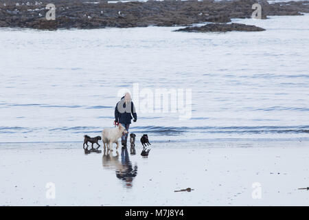 North Bay, Scarborough, North Yorkshire, UK. Dimanche 11 mars 2018. Les gens marchent le long de plage de North Bay avec le Château de Scarborough en arrière-plan pendant un après-midi brumeux mais claire, à Scarborough. Credit : James Wilson/Alamy Live News Banque D'Images