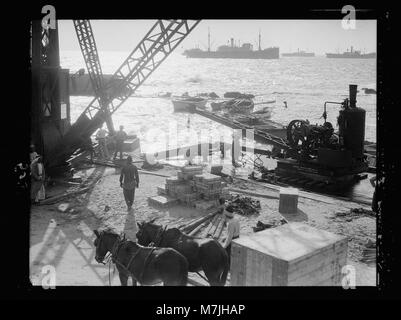 La construction de la jetée de Jaffa. Grues à l'œuvre sur le Quais de Jaffa. Effet d'éclairage arrière inhabituelle matpc LOC.16321 Banque D'Images