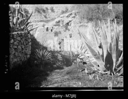 Cette photographie montre le Tombeau du jardin et le Calvaire de Gordon à Jérusalem, des sites associés à la crucifixion et à l'enterrement de Jésus-Christ, des points de repère importants pour le pèlerinage chrétien. Banque D'Images