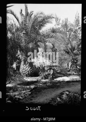 Une photographie de la tombe du jardin et du calvaire de Gordon à Jérusalem, deux sites chrétiens importants. L'image souligne l'importance biblique des lieux, associés à l'enterrement et à la résurrection de Jésus-Christ. Banque D'Images