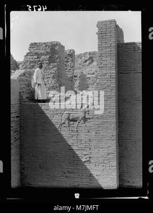 L'Iraq. 'Babylone la grande.' divers points de vue de l'éboulement des ruines. La porte d'Ishtar. Fermer la vue d'un des murs d'un bas-relief LOC.16082 matpc Banque D'Images