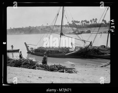 L'Iraq. Scènes sur le fleuve Euphrate prises à Hilla. Chargé avec des Bellums 'LOC carburant matpc.16119 Banque D'Images