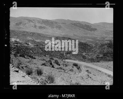 Le Mont Liban. Beyrouth. Aleih, Ras-el-District du Metn. Le Liban. Le Baruk cèdres. Vue éloignée sur la grove LOC.15448 matpc Banque D'Images