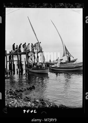 Vues du nord. Le lac de Galilée. Pêcheur. Décharger leurs bateaux après une nuit de labeur LOC.15343 matpc Banque D'Images