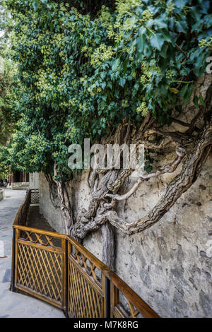 Jardin à Khan palace à Sumy. Banque D'Images