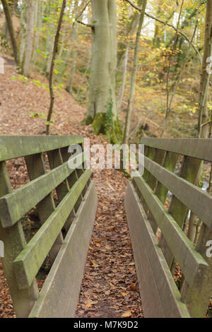 Vue de la passerelle en bois à Eller Beck avec les feuilles tombées, Skipton Skipton, Woods, North Yorkshire, Angleterre, Novembre Banque D'Images