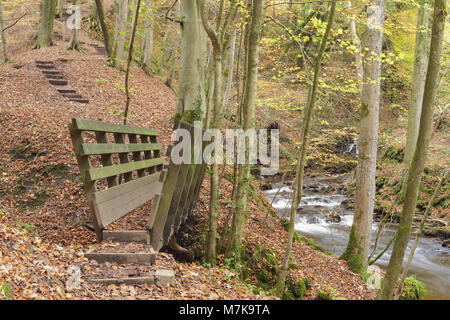 Vue de la passerelle en bois à Eller Beck avec les feuilles tombées, Skipton Skipton, Woods, North Yorkshire, Angleterre, Novembre Banque D'Images