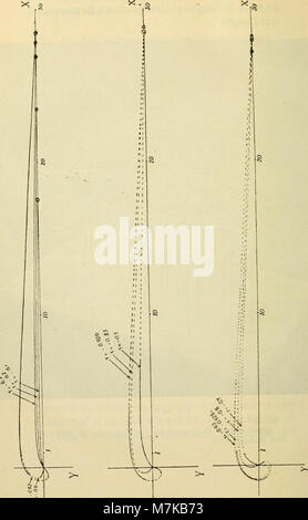 Archives des sciences physiques et naturelles" (1846-1947) (19758843791). Banque D'Images