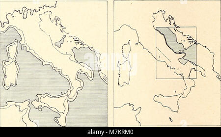 Une autre liste pour le volume 1964 de la revue « Bonner zoologische Beiträge », publiée par le Zoologisches Forschungsinstitut und Museum Alexander Koenig à Bonn, qui comprend les résultats des recherches zoologiques. Bibliothèque du patrimoine de la biodiversité Banque D'Images