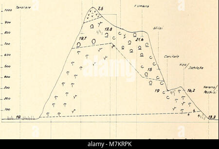 Un autre numéro du volume de 1964 du « Bonner zoologische Beiträge », publié par le Zoologisches Forschungsinstitut und Museum Alexander Koenig à Bonn, contenant des articles de recherche zoologique. Bibliothèque du patrimoine de la biodiversité+1 Banque D'Images