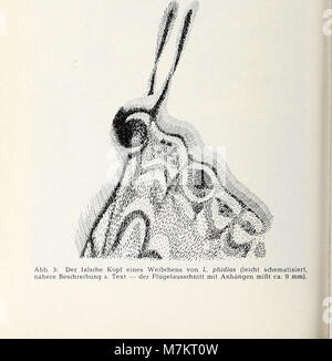 Le volume 1974 de la revue « Bonner zoologische Beiträge », publié par le Zoologisches Forschungsinstitut und Museum Alexander Koenig à Bonn, présentant des études en biologie animale et en systématique. Bibliothèque du patrimoine de la biodiversité Banque D'Images