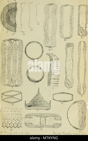 Brebissonia, les entretiens de illustrée de botanique cryptogamique et lisaa végétale (1879) (20219825600) Banque D'Images