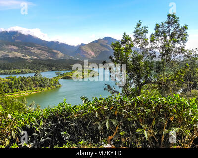 THEKKADI, Kerala, Inde - déc. 15 2011 : Beau paysage avec les forêts sauvages et colorées, de la rivière Periyar Thekkadi, Kerala en Inde. Banque D'Images