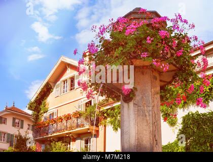 Vevey, Suisse - le 27 août 2016 : Fontaine de fleurs à Vevey, canton de Vaud, Suisse. Dans la lumière du soleil Banque D'Images