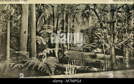 Le *rapport annuel du Directeur au Conseil d'administration* détaille les activités institutionnelles, les développements administratifs et les progrès académiques pour les années 1907 à 1943. Banque D'Images