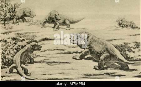 Un document officiel résumant le rendement institutionnel annuel, les rapports financiers et les activités de recherche soumis par le directeur au conseil d'administration. Banque D'Images