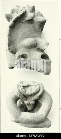 L'image de 1901 montre des chercheurs menant des recherches archéologiques sur l'île de la Plata en Équateur, capturant des méthodes de fouilles du début du XXe siècle et des travaux scientifiques de terrain. Banque D'Images