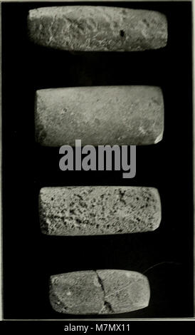 Cette publication de 1901 présente des recherches archéologiques sur l'île de la Plata, en Équateur, documentant des fouilles qui révèlent des artefacts culturels anciens et des preuves de colonies. Banque D'Images