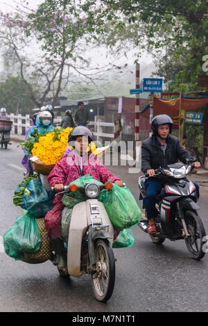 Une femme porte des sacs de fruits, légumes et fleurs à l'arrière de son triporteur à Hue, Vietnam. Banque D'Images