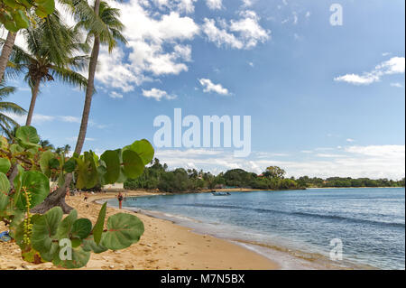 République de Trinité-et-Tobago - Tobago island - Mt. Irvine bay - plage tropicale de la mer des Caraïbes Banque D'Images