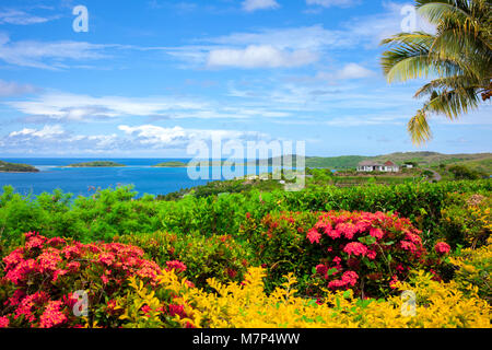 Beaux paysages de l'île de Fidji à marée haute avec rose et jaune fleurs, buissons, cocotier et arbres en premier plan et de l'océan avec hil vert Banque D'Images