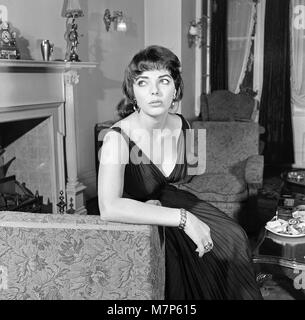 Joan Collins, actrice, 22 ans, photographiée en soie noire robe de cocktail, à son appartement à Marylebone, Londres, 10 février 1954. Photo-call après 10 mois de séjour à Hollywood. Banque D'Images