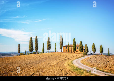 Beau paysage typique de Val d'Orcia en Toscane, Italie Banque D'Images