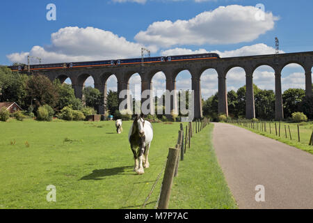 En Viaduc Welwyn Hertfordshire, Angleterre Banque D'Images