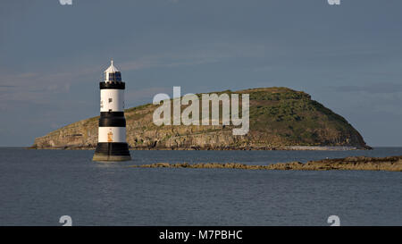 Penmon Point phare et l'île d'Anglesey, macareux, côte Nord du Pays de Galles Banque D'Images