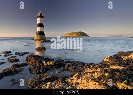Penmon Point phare et l'île d'Anglesey, macareux, côte Nord du Pays de Galles avec des roches couvertes d'algues à marée basse Banque D'Images